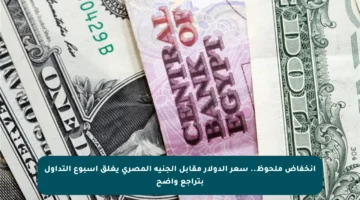 انخفاض ملحوظ.. سعر الدولار مقابل الجنيه المصري يغلق أسبوع التداول بتراجع واضح